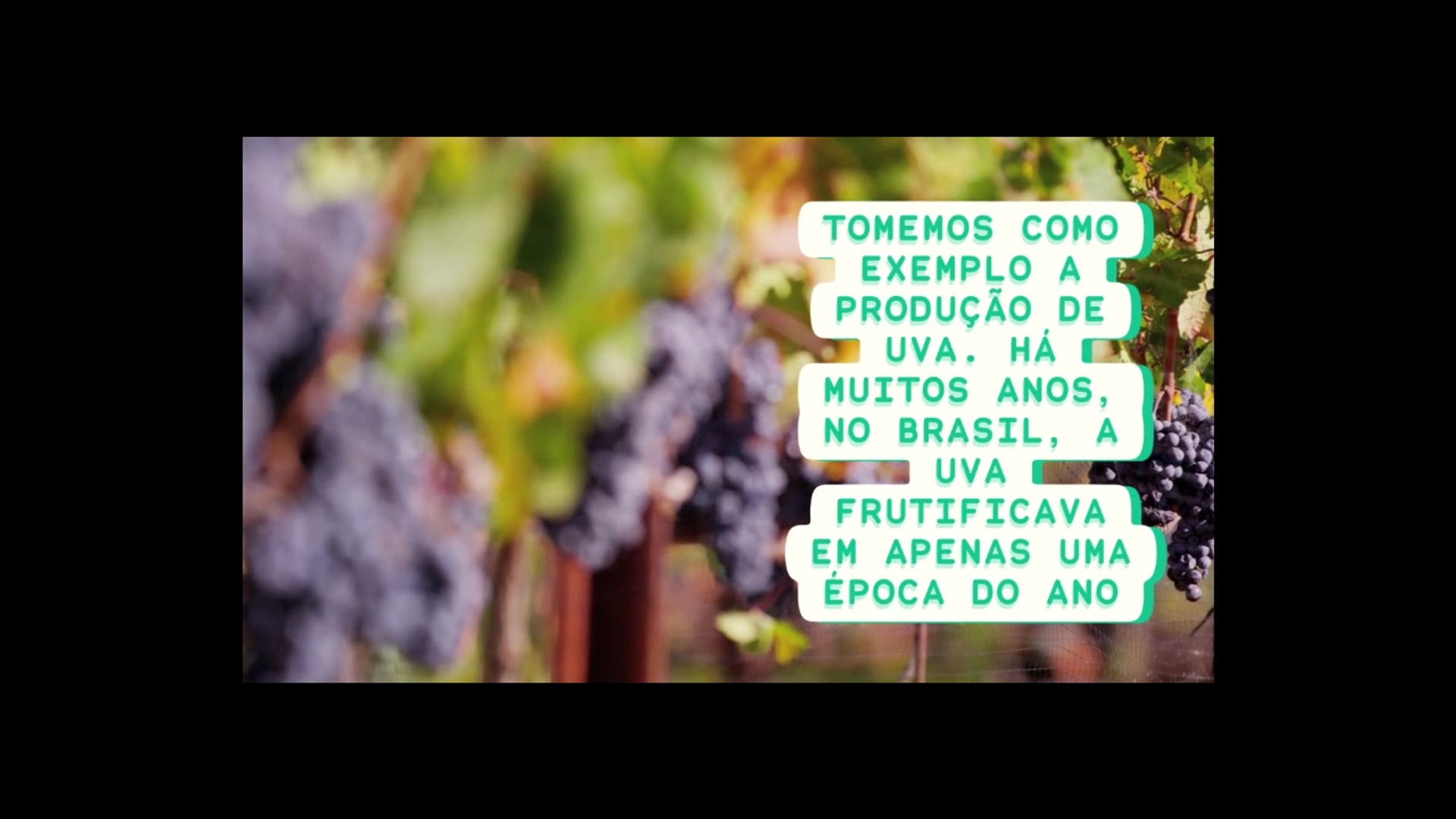 EMBRAPA - A ciência que vai à mesa - HD